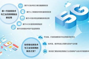 互联网信息服务 财经滚动与中国日报网的协同发展