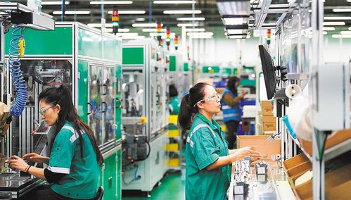 创新活力足 上海市普陀区互联网信息服务产业掠影